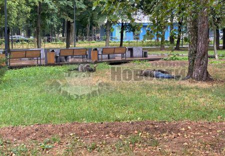В Лосинке запретят «отдых» на газонах парка «Торфянка»